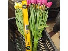 IMG 20210226 231402 193.jpg