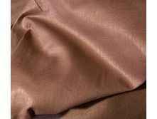 ����� ����̣� �������� ���� ����