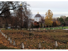 IMG 20221026 142423.jpg