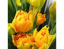 IMG 20210220 235016 622.jpg