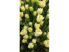 0-02-05-a0f6688dd458703fab4454678b5acec4304bbbc6fd0915414487abd20d46f890 9a620de42a33ef1f.jpg