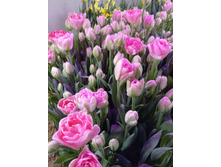 0-02-05-27e1a86c2cb27e433bc855dca39520068dcab24b5b8f1aaf8bb2aa06020c6d9a 725435fcc3a41004.jpg