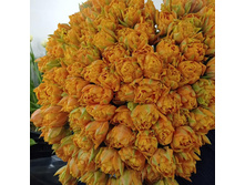 IMG 20210226 230802 796.jpg