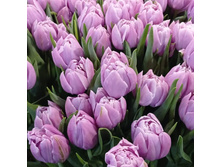 IMG 20210303 110443 992.jpg