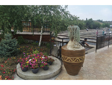 IMG 20220819 152211.jpg