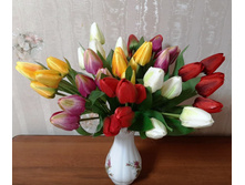 �11231 �/� ���.���������"������"5�.�31��(20����)