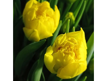 IMG 20210220 235016 623.jpg