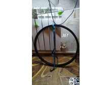 Photo 2023-02-09 00-09-28.jpg