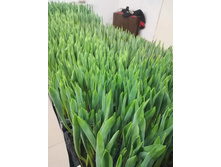 IMG 20190216 153747.jpg