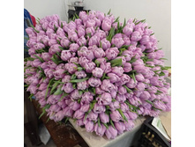 IMG 20210303 110444 001.jpg