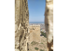 IMG 20220817 125307.jpg