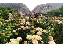 IMG 20220819 154455.jpg