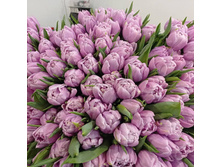 IMG 20210303 110443 950.jpg