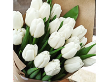 IMG 20210202 165337 682.jpg