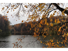 IMG 20221026 132221.jpg