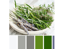 ������-����� � ���� ������1.jpg