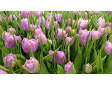 0-02-05-c3a78ff3568f3e2498c65b75ccd4e770b09e8a3ea8d3d61bd4d3be197190c01d f27b00d0373a1944.jpg