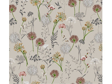 ������ (�������)