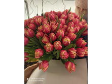 0-02-0a-2326e35a9804a6422e650eecc6297a6d4fb6eef091bbd9a83c5a24431ab8ae2d 8df38e9cb9537302.jpg