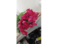 0-02-05-306d46002cd5a85e250b539ff0e4859372e531a1a63196bc07b71691072d7ca8 280f21ebfd12e618.jpg