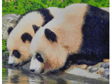 �������� ������� �������� �������� 40X50 - ZM-2130