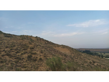 IMG 20220819 174314.jpg