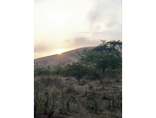 IMG 20220819 175104.jpg