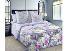 ���� ������� 220 ��