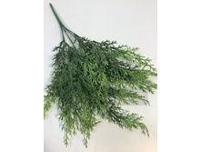 2941 ����� ������, �������, 5 � 79 ���