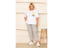 ������ ������ 2600� ���.jpg