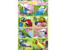 ������� �������� "�������" ��-1756