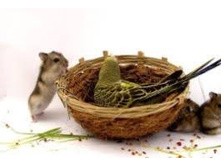 ���� �������. ��������, ������, ��������� - ��� �����������!