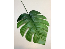 3062 ���� �������� 20 ���