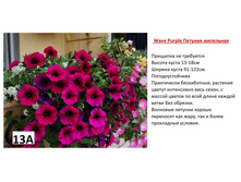 ����������� viber 2023-03-29 09-43-25-727.jpg