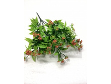 2770 ����� ������������, �������, 5� 79 ���