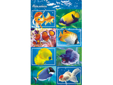 ������� �������� "�����" ��-1748