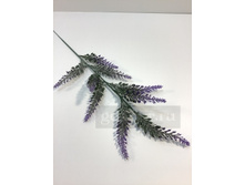 2645 ����� ������� 23 ���