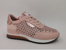 QS385-D203-2.jpg