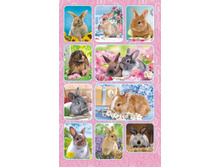 ������� �������� "�������� �������" ��-1974