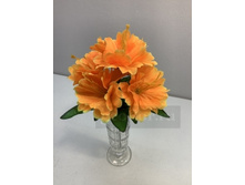 3252 ����� ���������, 5 � 16 ���