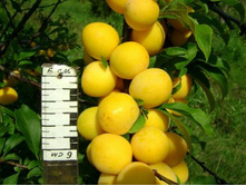 �������� +23�