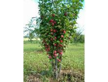 �������� +23�