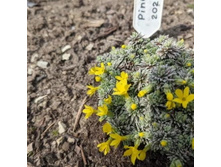 ��������� ���������������� ��� �������� ������.jpg