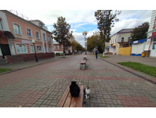 IMG 20210918 135426.jpg