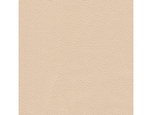 ������� Sontex Beidge