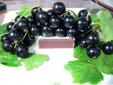 ������ +23�