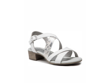 28***256-26-197 ��������� �������, 1700 ���