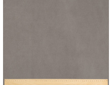 ����� Bingo