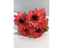 3097 ����� ���������, 6 � 79 ���