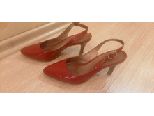 ����� ���������